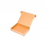 200x152x40mm Maxibrief Karton
