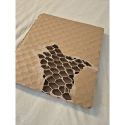 Papier-Wabenplatte 1200 x 2000 x 20 mm