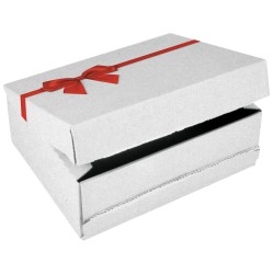 Colompac Geschenkbox CP068.92 - 241x166x94mm SMALL WEISS